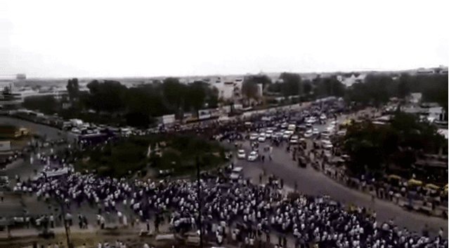 Parth Vaghani, Cricket athlete